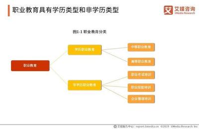 2019中國(guó)職業(yè)發(fā)展教育現(xiàn)狀與細(xì)分領(lǐng)域研究報(bào)告 非學(xué)歷職業(yè)技能培訓(xùn)服務(wù)